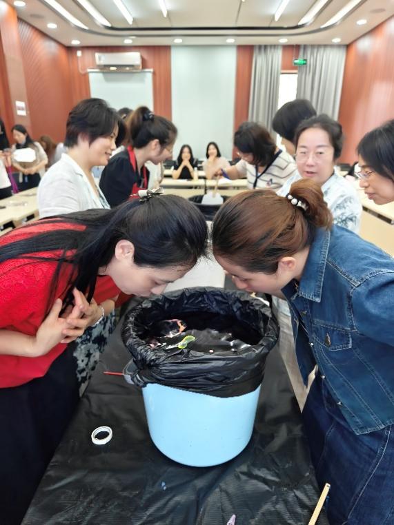 百家乐娱乐城