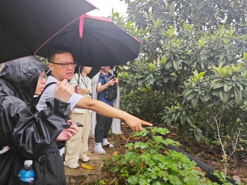 百家乐娱乐城